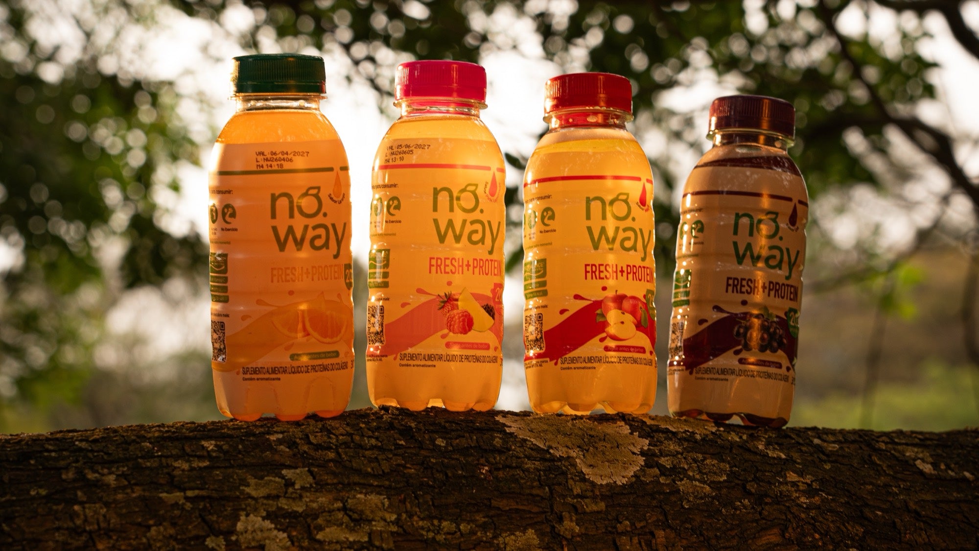 As quatro garrafas de suco proteico Noway alinhadas em um tronco ao entardecer